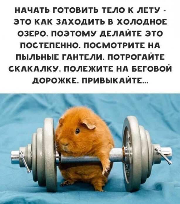 Бредзона 28.01.2021