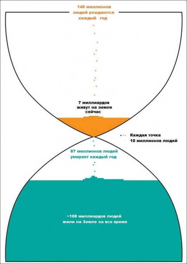 Различные  руководства и инфографики.