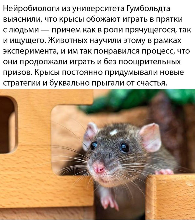 Картинки и мемы для настроения 27.04.2021