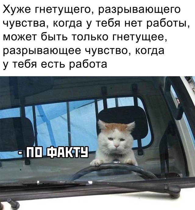Картинки и мемы для настроения 12.08.2021