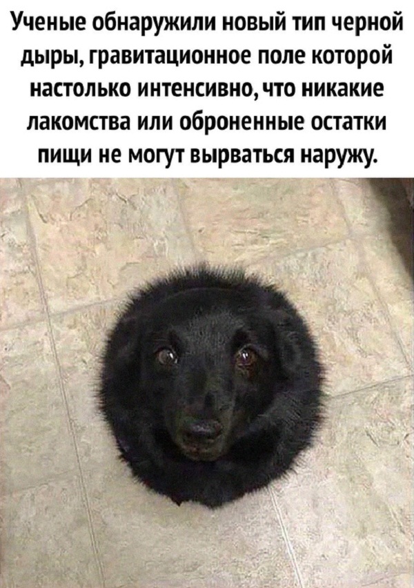 Картинки и мемы для настроения 28.12.2021
