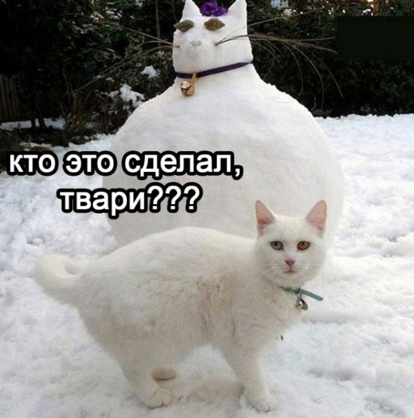 Прикольные и просто красивые картинки 12.01.2022