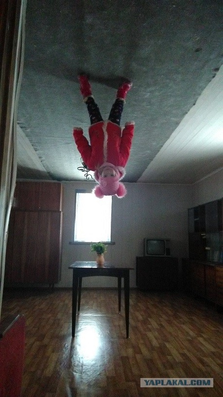 Нелегко живется австралийцам
