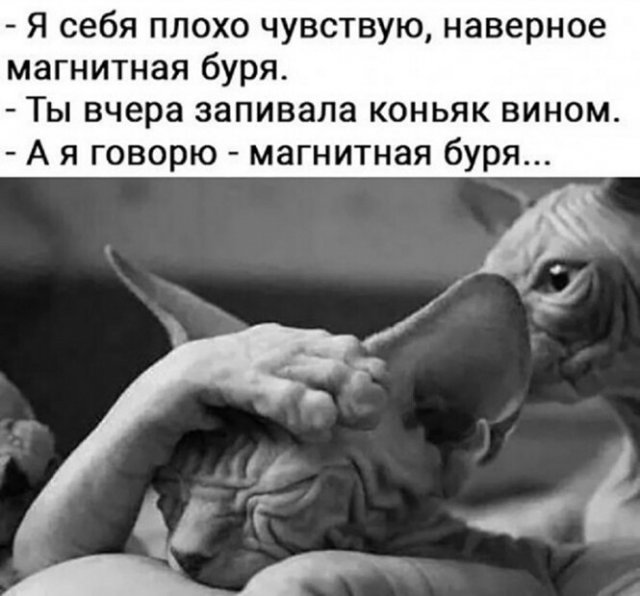Понедельник. Вечер. Картинки для настроения #2
