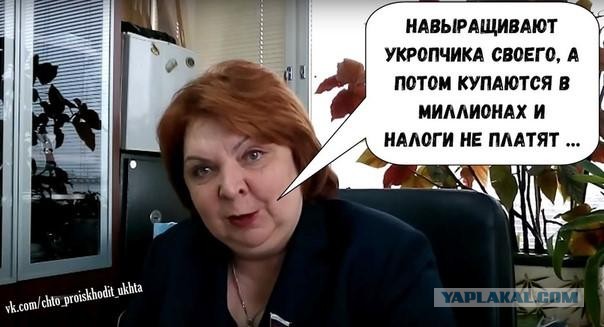 Депутат от ЕР Светлана Максимова предложила обложить налогом дачников, продающих свой урожай