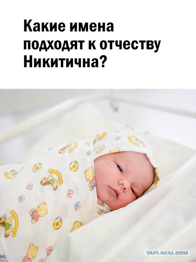 Так себе картинки 18.08.22
