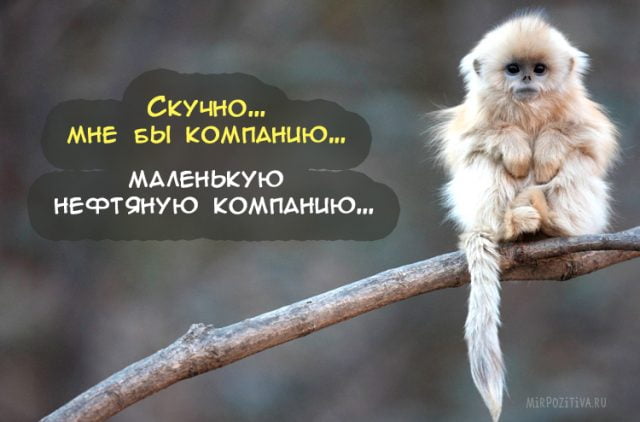 50 оттенков серого или самосвал баянов.  Vol.20. 50 штук.