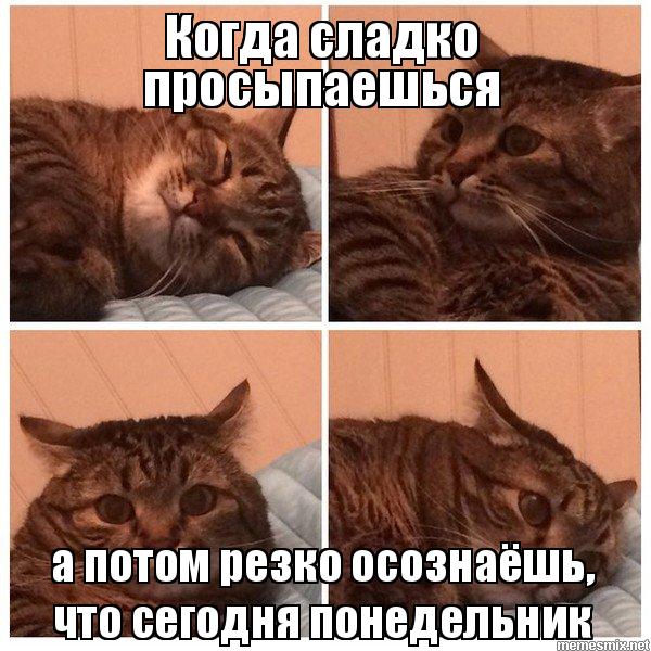 Почему жизнь с "пополамщицей" это дно!