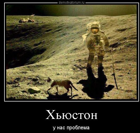 Марсоход Perseverance обнаружил на поверхности Марса сетку, похожую на ту, которую используют для оборачивания фруктов