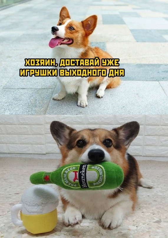 Картинки и мемы, всем хороших выходных