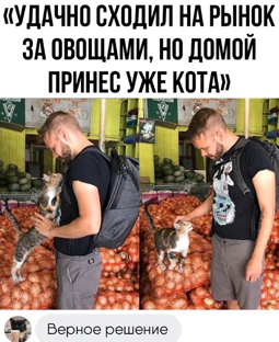 Немного картинок и прочей хреноты Vol. 22