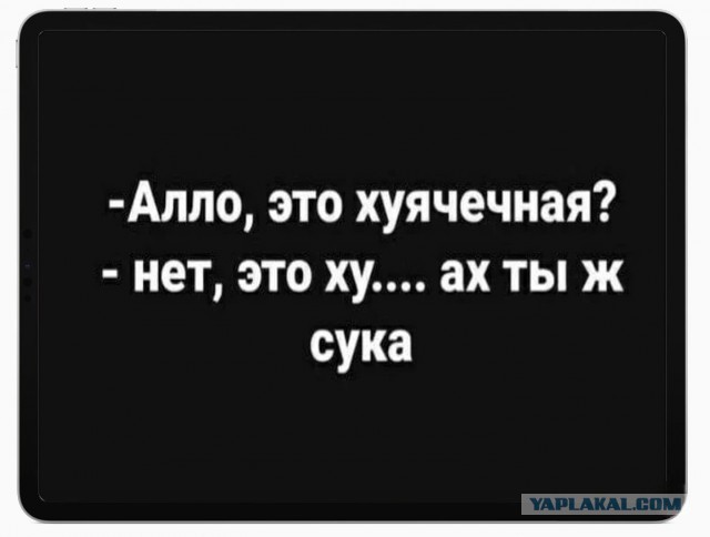 Нуштош 17.07.2023