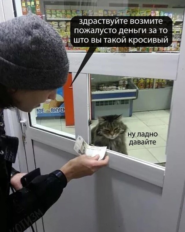 Котомемы 29.09.23