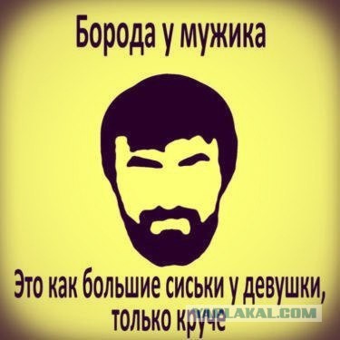 График привлекательности бороды