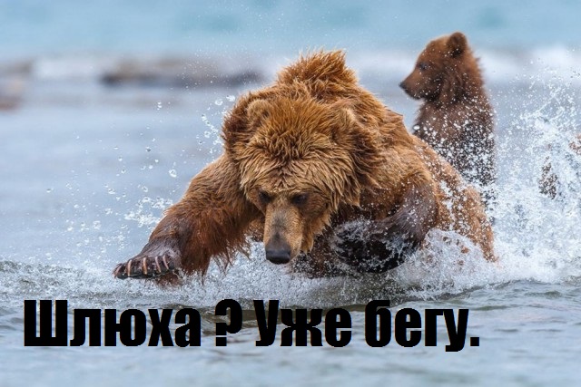 В Оренбургском районе результаты ДНК-экспертизы повергли в шок мужчину