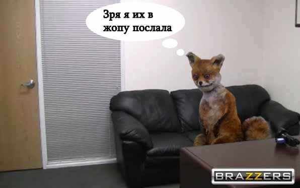 «20 тысяч рублей за волка, тысячу за лису»: под Волгоградом срочно ищут охотников на опасных хищников