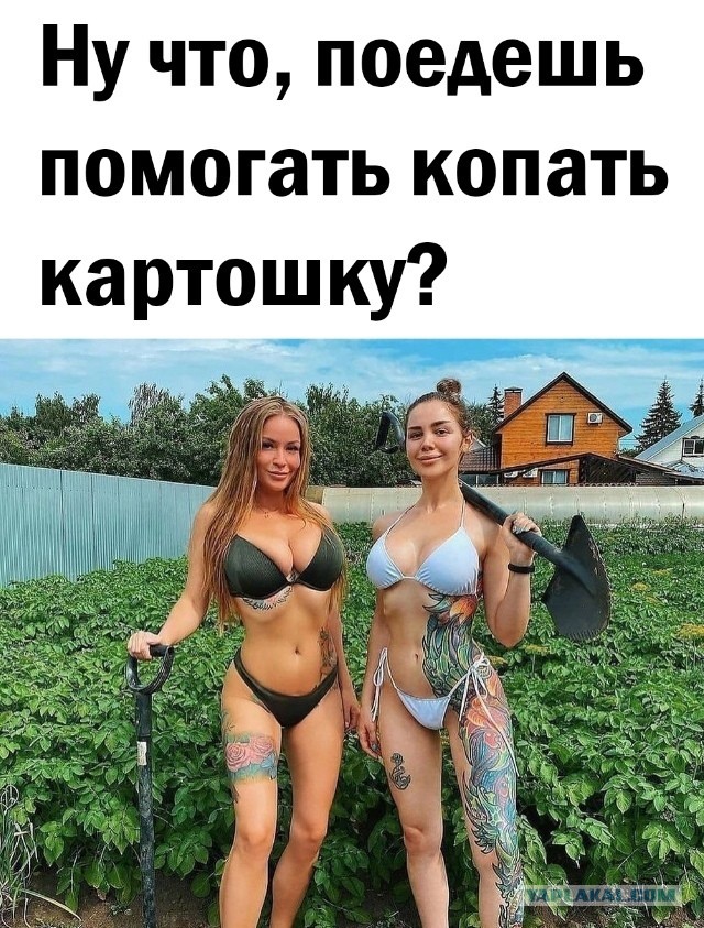 Так себе картинки 31.03.24