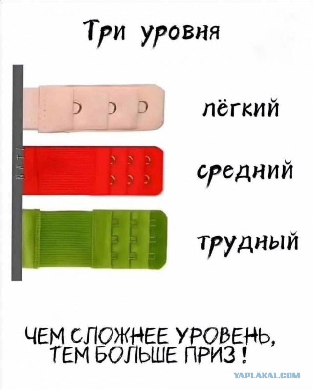 Так себе картинки 26.02.25