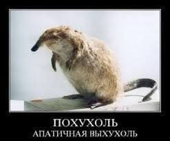 Маленькая пятница 7.05.25