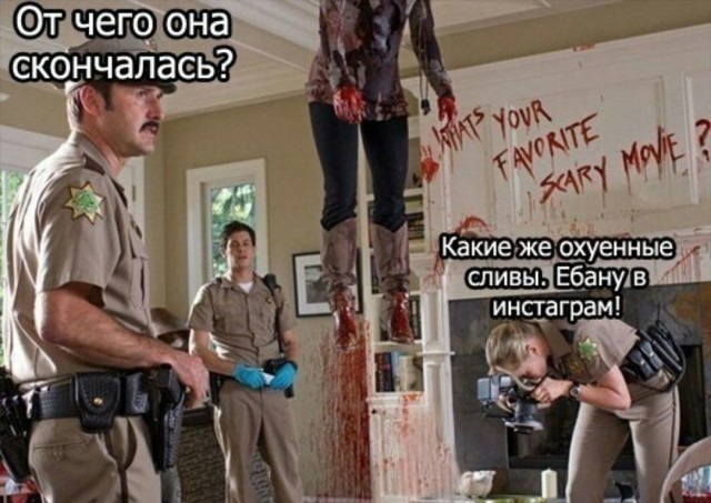 Сеня, дичь!