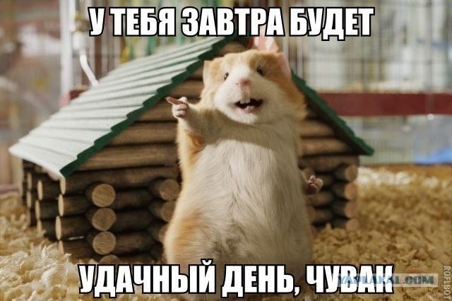 Так себе картинки 30.04.24