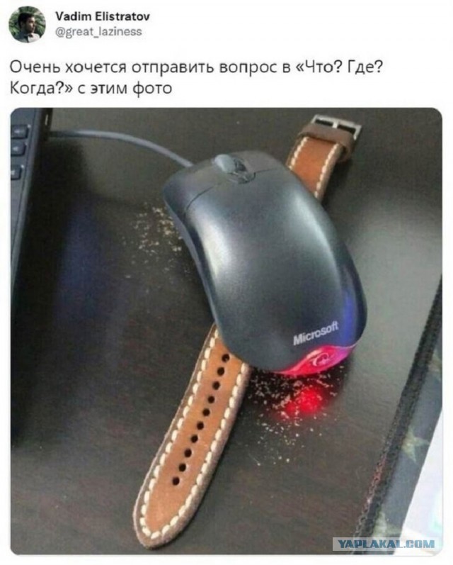 Так себе картинки 29.08.25