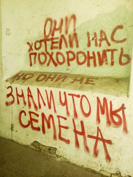 Картинки для деградации 48 (разной степени свежести)