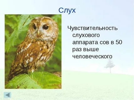 Украинцы объясняют крымчанам