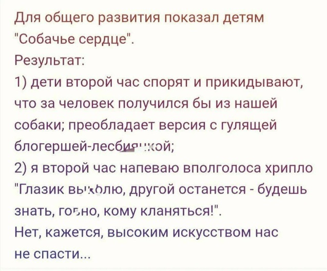 Мой кот