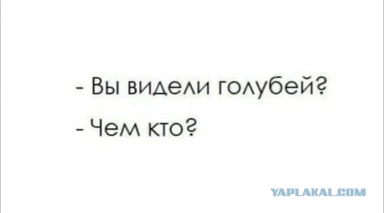 Веселые картинки в пятницу