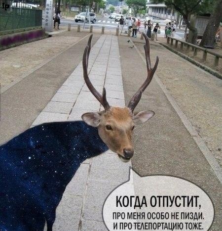 А вы уверены, что реальность в которой мы живем -единственная?