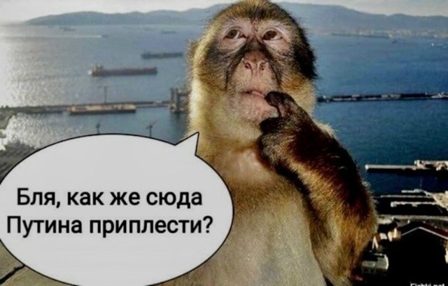 Что-то пошло не так