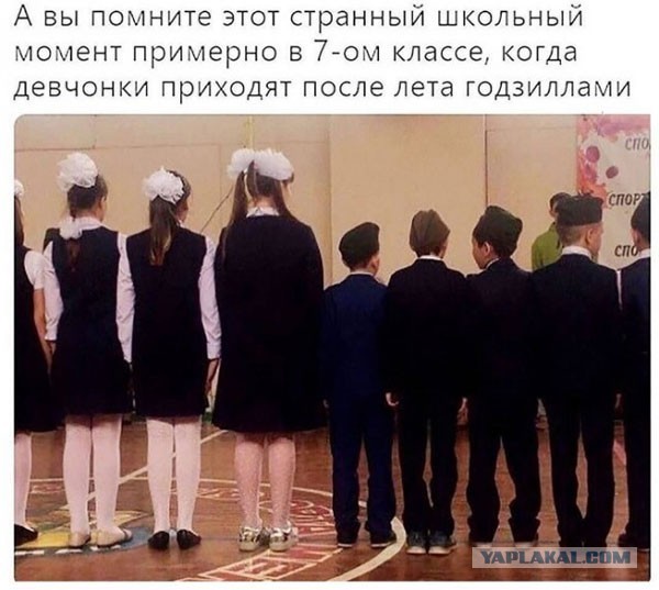 Средовские боянчики