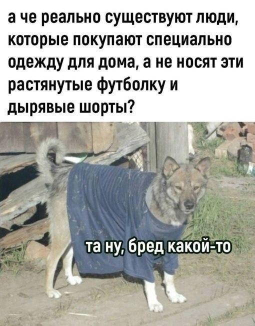 Картинки для деградации 235 (разной степени свежести)