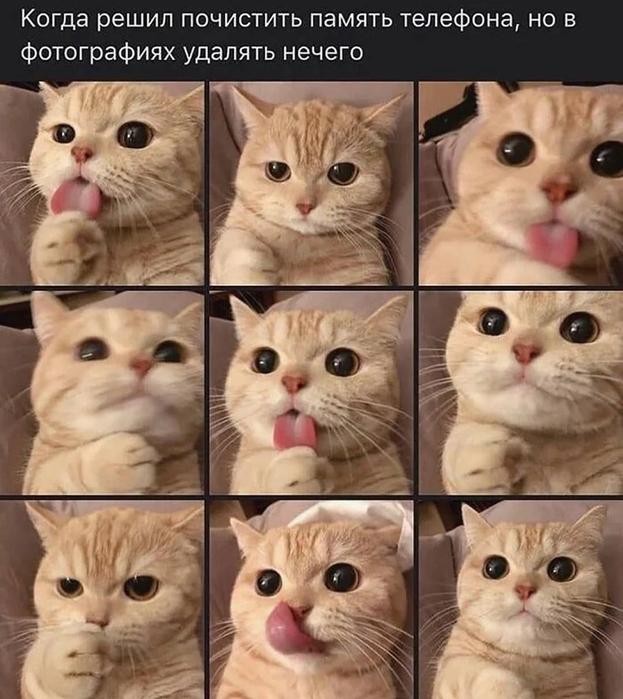 Картинки для деградации 260 (разной степени свежести)