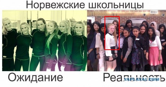 Не любите кавказцев? Чемодан-вокзал-Европа!