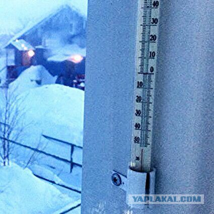 -50.0 У кого ниже?