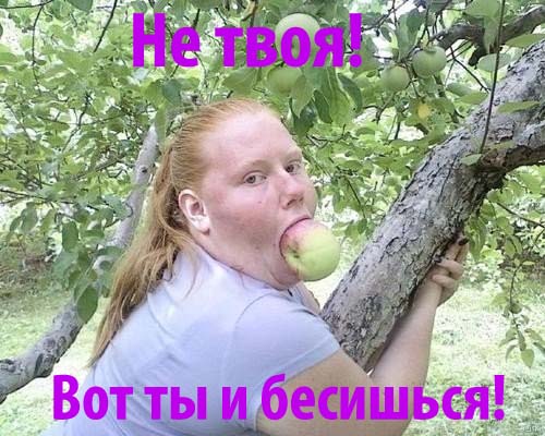 Комменты из соцсетей