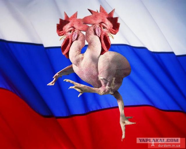 Путин. Майки. Украина.
