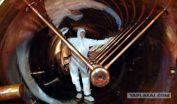 Малоизвестные и любопытные факты обо всём