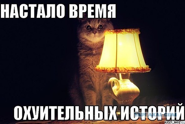 Толерантность...