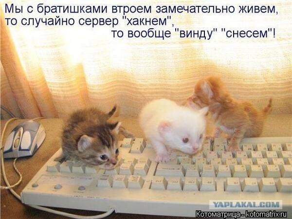 Поднимаем настроение