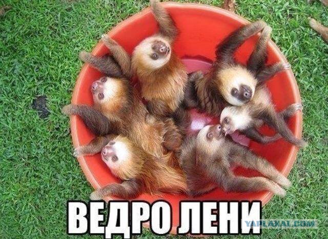 Что такое лень