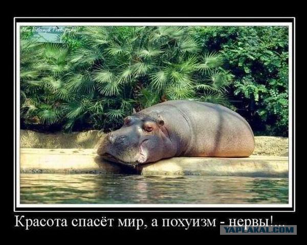 Смешное из сети