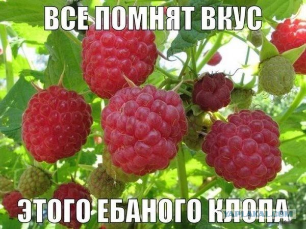 Картинки из сети для настроения