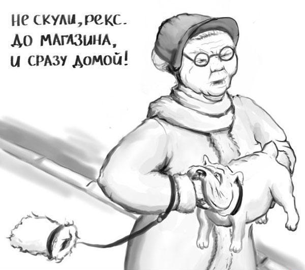 Весёлые картинки