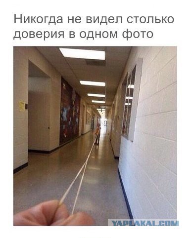 Весёлое из сети