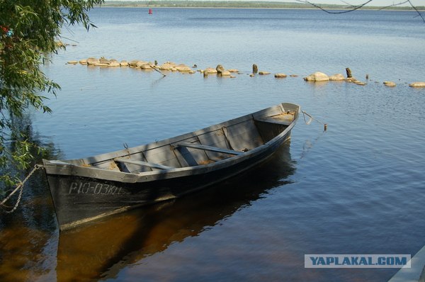 Наше все за МКАДом