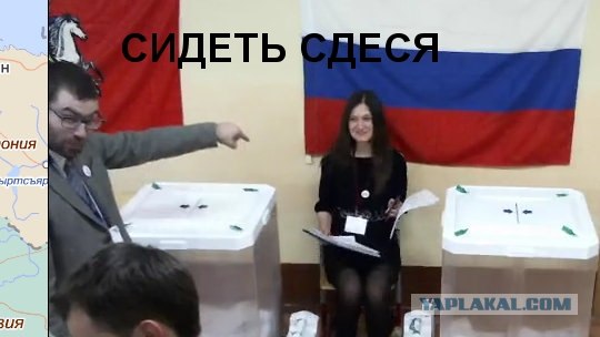 Веб-камеры на избирательных участках