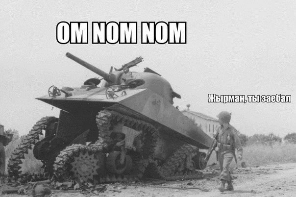 Wargaming 21